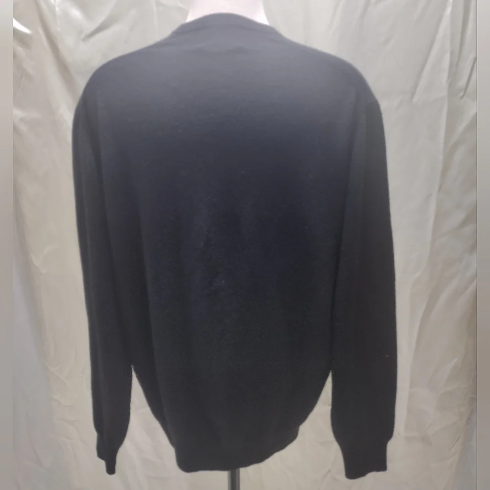 ALAN PAINE Mens V-Neck Pullover Sweater, Size UK 46 EUR 54, Pure Cashmere Black